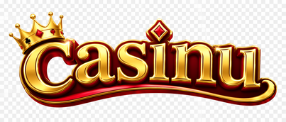 casinu brand logo